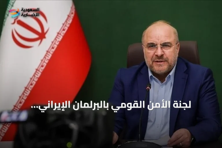 لجنة الأمن القومي بالبرلمان الإيراني توافق على فرض رسوم على السفن العابرة لمضيق هرمز