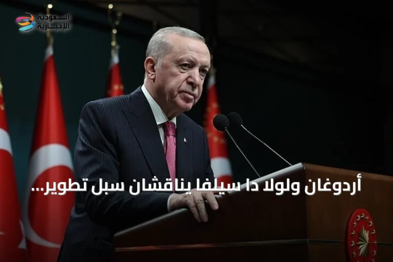 أردوغان ولولا دا سيلفا يناقشان سبل تطوير التعاون بين تركيا والبرازيل