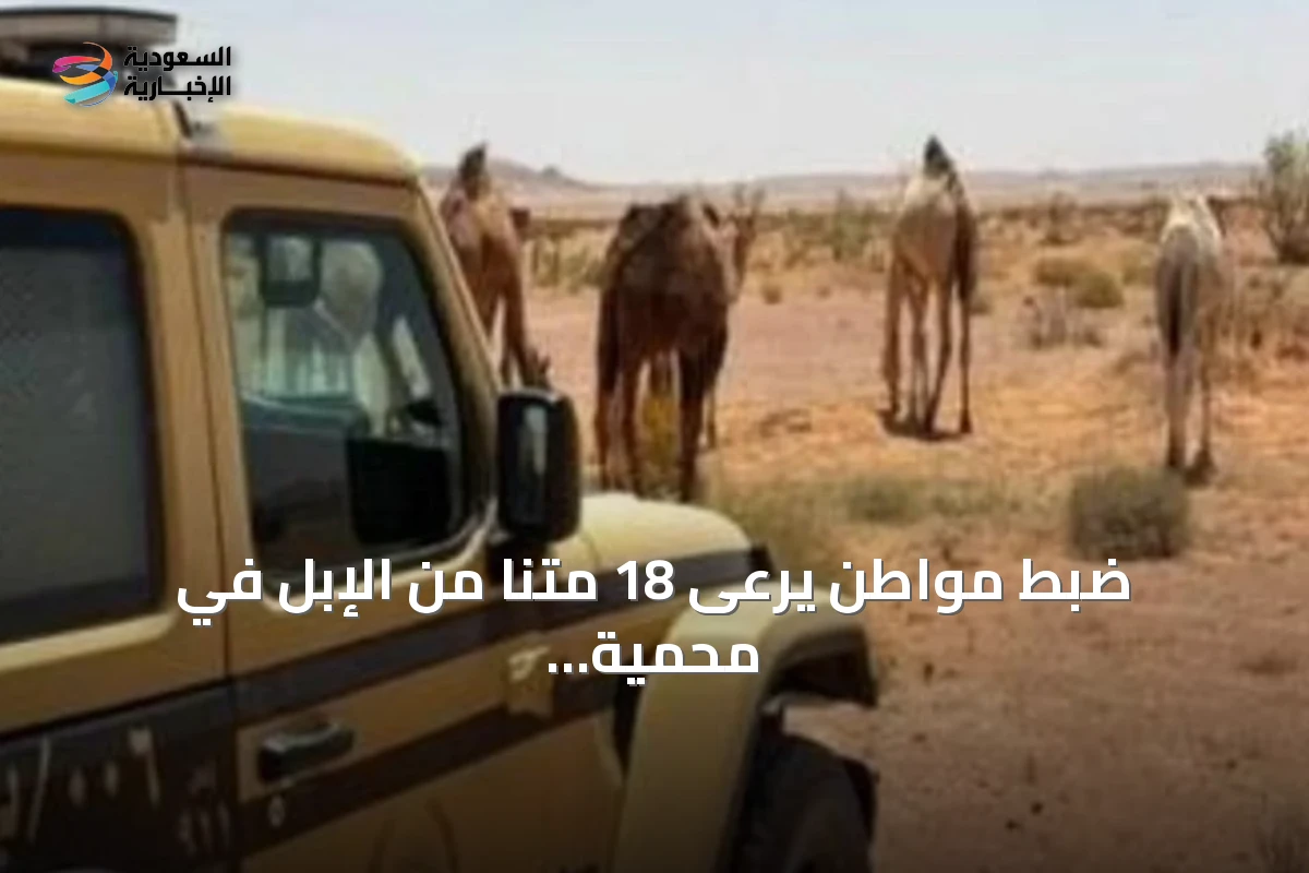 ضبط مواطن يرعى 18 متنًا من الإبل في محمية الإمام تركي التي تحمل اسم بن عبدالله الملكية