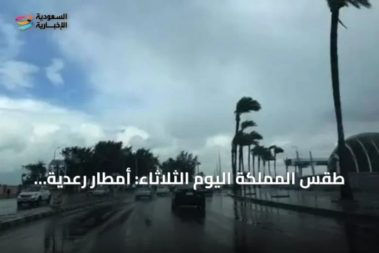 طقس المملكة اليوم الثلاثاء: أمطار رعدية وزخات برد ورياح نشطة على عدة مناطق