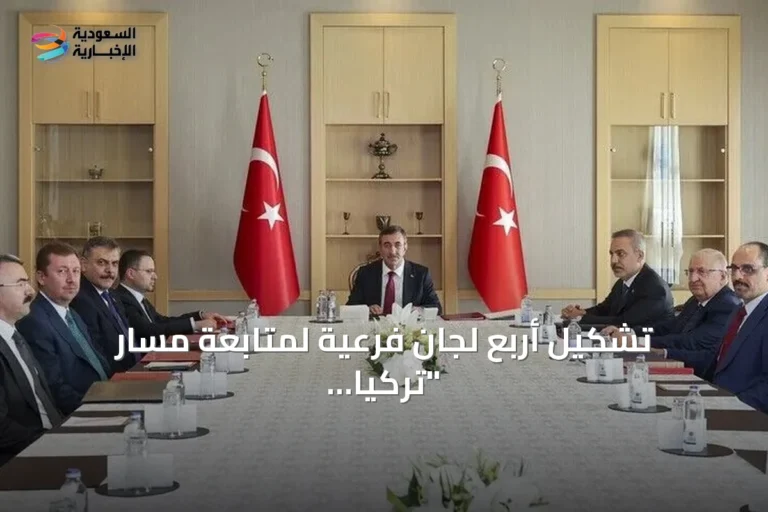 تشكيل أربع لجان فرعية لمتابعة مسار "تركيا بلا إرهاب" بعد نشر قانون التضامن الوطني