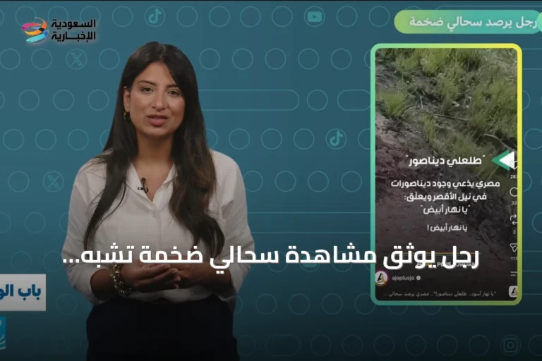 رجل يوثق مشاهدة سحالي ضخمة تشبه الديناصورات في مصر