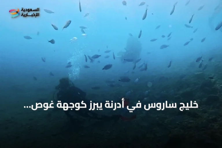 خليج ساروس في أدرنة يبرز كوجهة غوص متزايدة الشعاب الاصطناعية وصفاء المياه