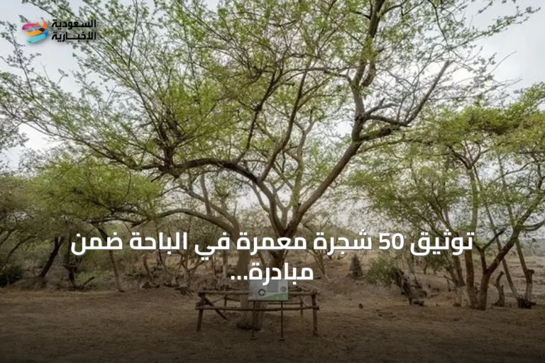 توثيق 50 شجرة معمّرة في الباحة ضمن مبادرة لحماية التنوع النباتي