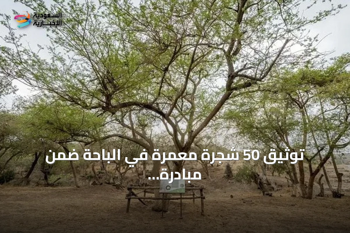 توثيق 50 شجرة معمّرة في الباحة ضمن مبادرة لحماية التنوع النباتي