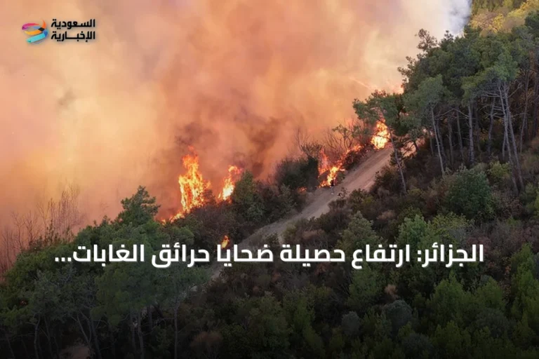 الجزائر: ارتفاع حصيلة ضحايا حرائق الغابات إلى 12 قتيلاً و54 مصاباً