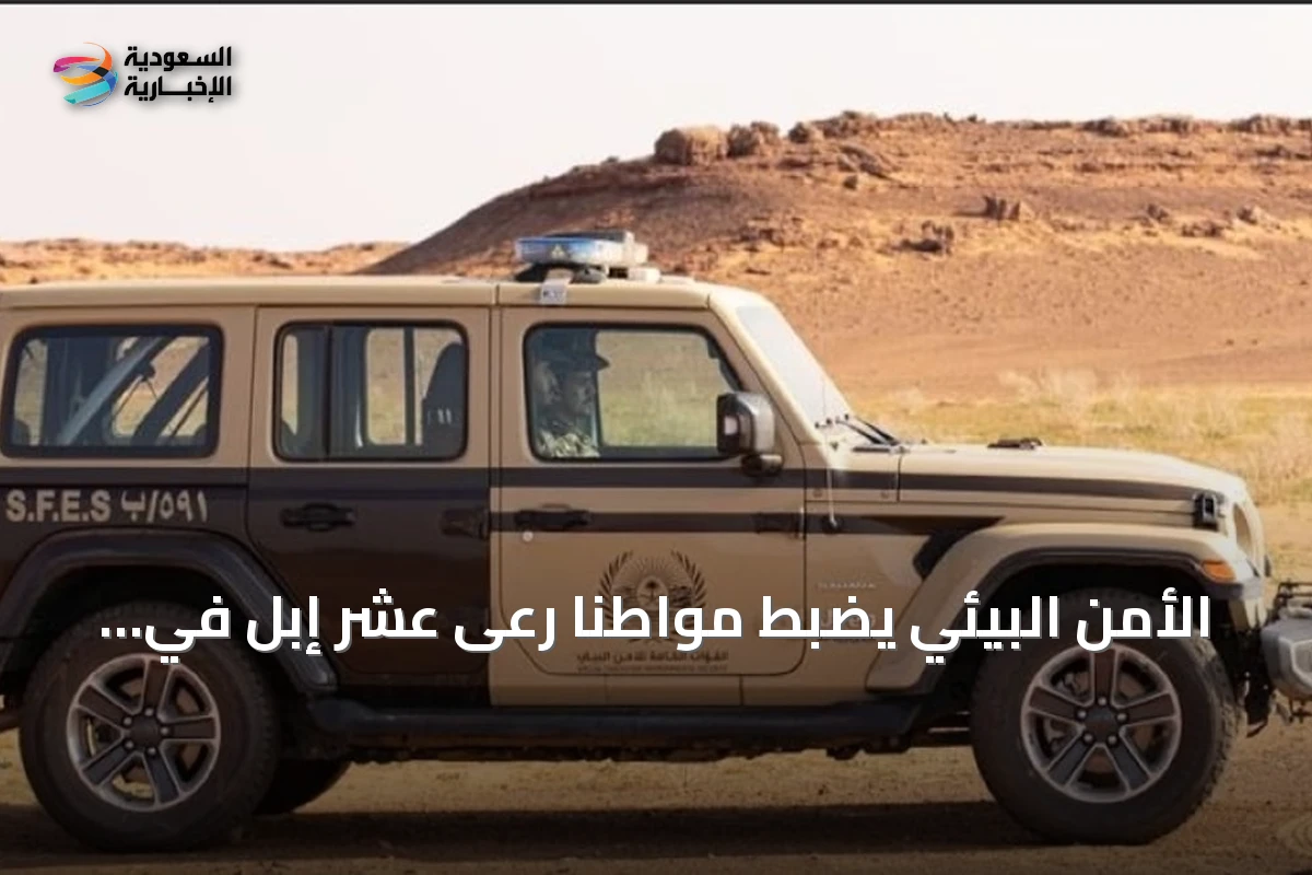 الأمن البيئي يضبط مواطنًا رعى عشر إبل في مناطق محظورة بمحمية الإمام ترتي بن Abdullah