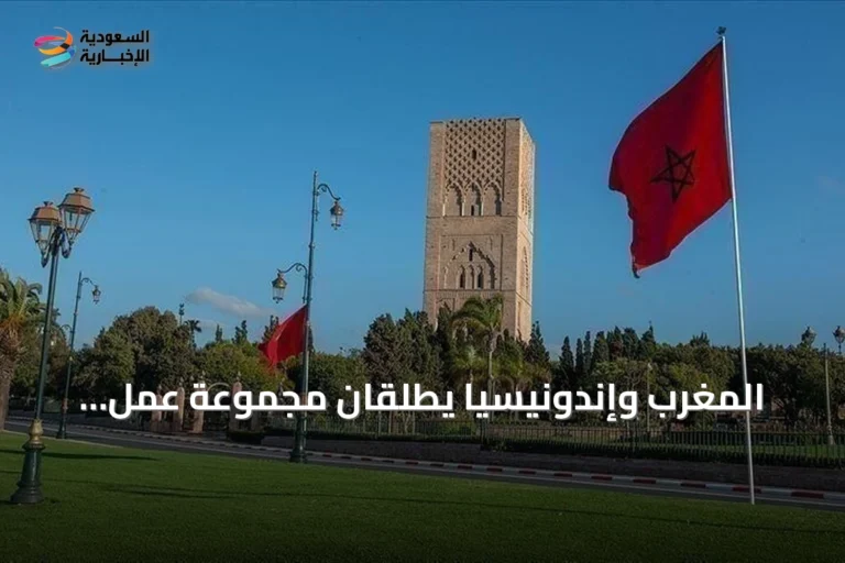 المغرب وإندونيسيا يطلقان مجموعة عمل ثنائية لتعزيز الشراكة الاقتصادية