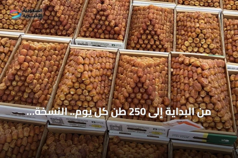 من البداية إلى 250 طن كل يوم.. النسخة السابعة عشرة تحكي قصة تمور البكيرية