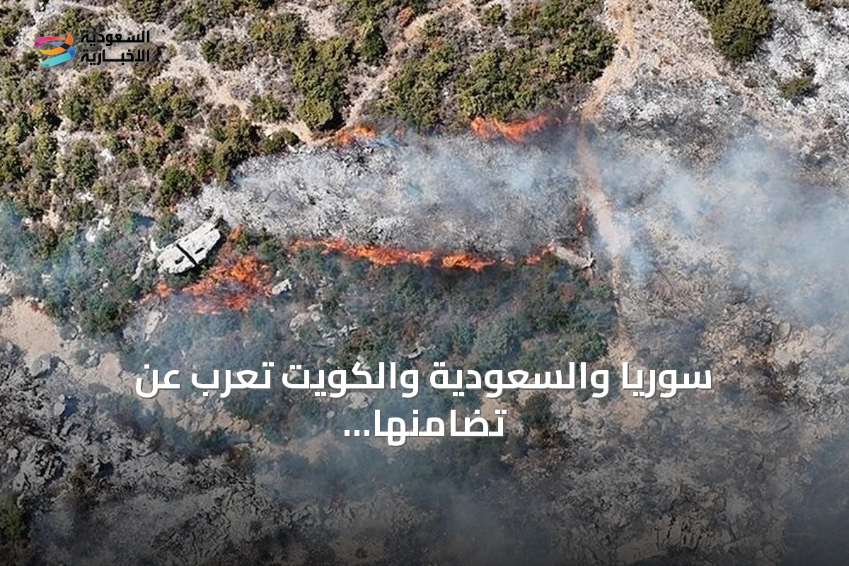 سوريا والسعودية والكويت تعرب عن تضامنها مع الجزائر بعد حرائق الغابات
