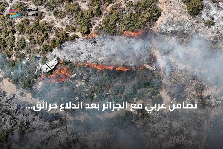 تضامن عربي مع الجزائر بعد اندلاع حرائق الغابات