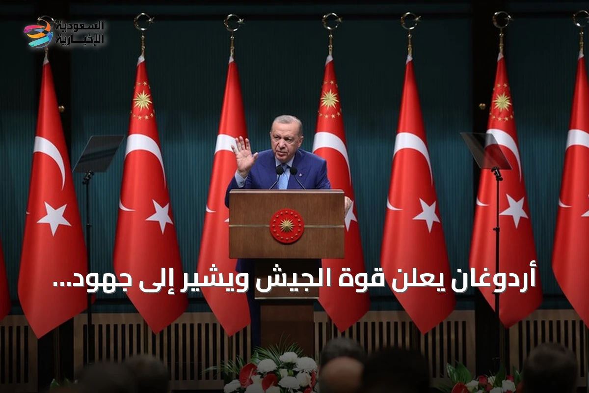 أردوغان يعلن قوة الجيش ويشير إلى جهود مكافحة غولن وبحث مفقودي العبارة