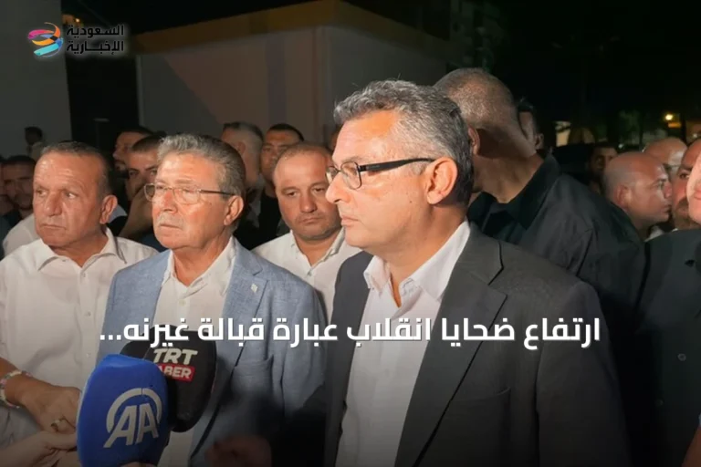 ارتفاع ضحايا انقلاب عبّارة قبالة غيرنه إلى 8 قتلى و18 مفقوداً