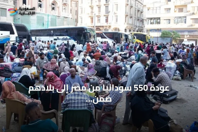 عودة 550 سودانياً من مصر إلى بلادهم ضمن برنامج العودة الطوعية