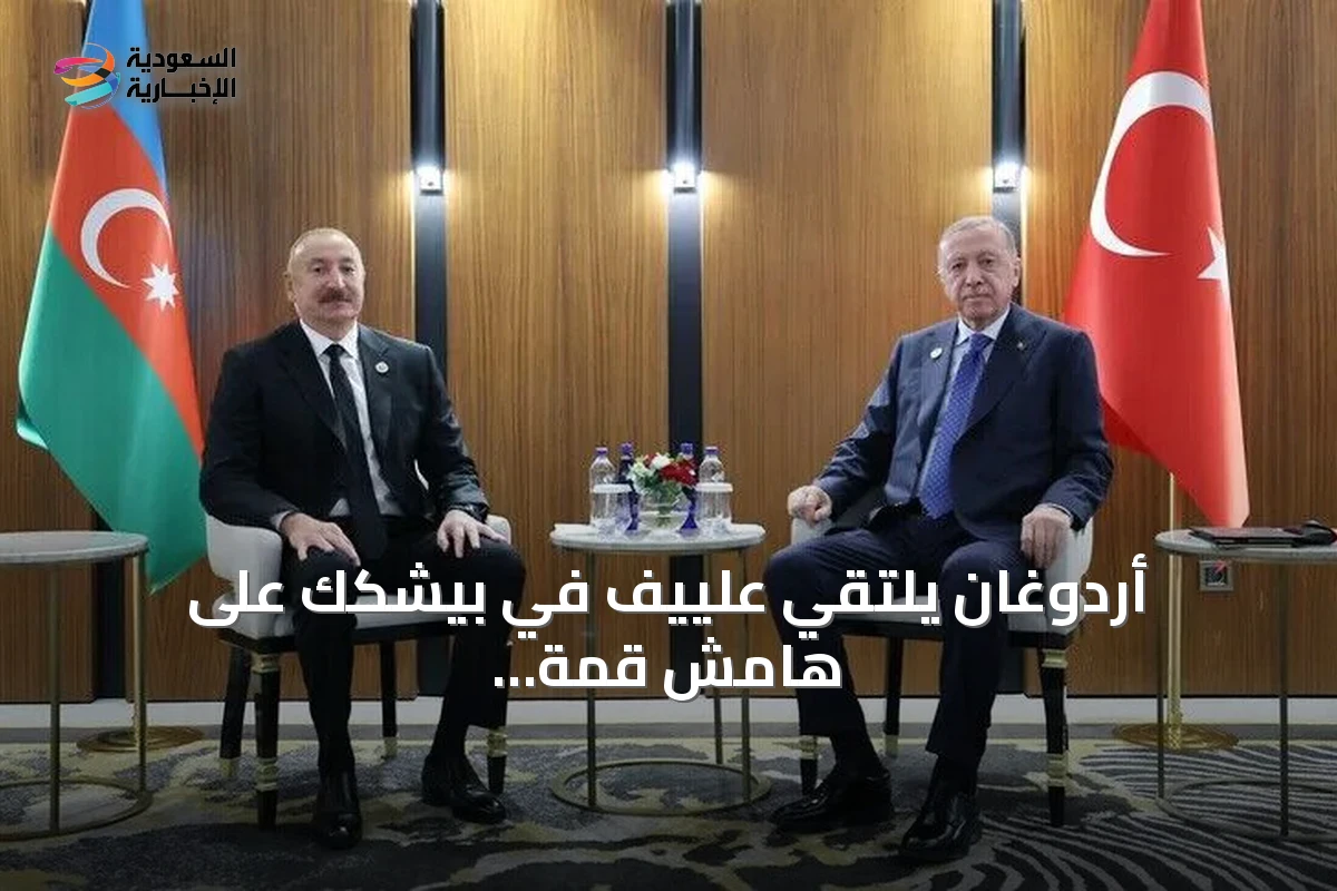 أردوغان يلتقي علييف في بيشكك على هامش قمة شنغهاي