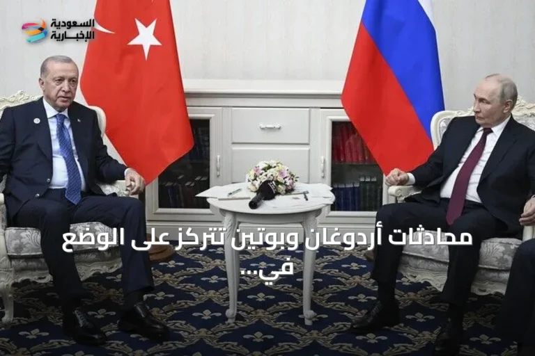 محادثات أردوغان وبوتين تتركز على الوضع في البحر الأسود وإمكانية التفاوض في تركيا