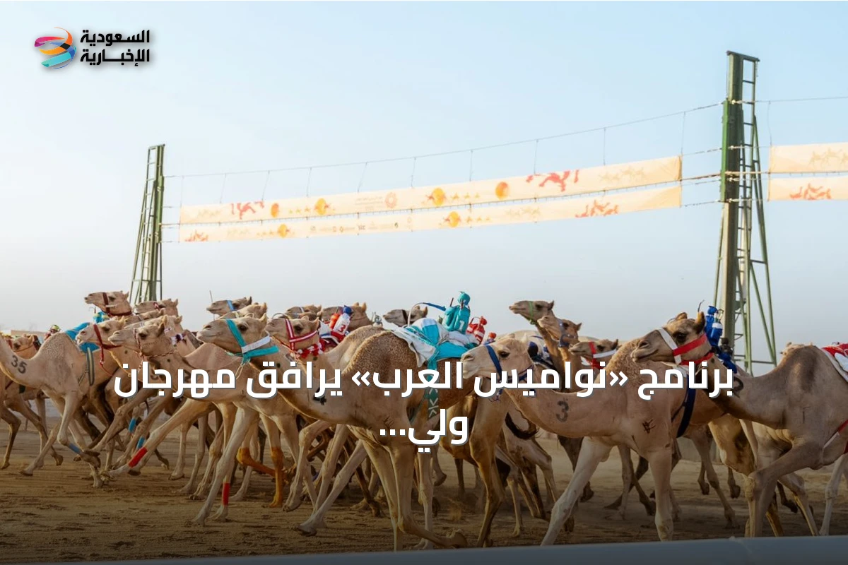 برنامج «نواميس العرب» يرافق مهرجان ولي العهد للهجن 2026 بتحليلات حية من ميدان الطائف