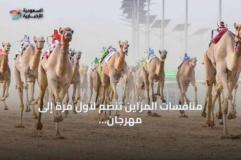 منافسات المزاين تنضم لأول مرة إلى مهرجان ولي العهد للهجن 2026