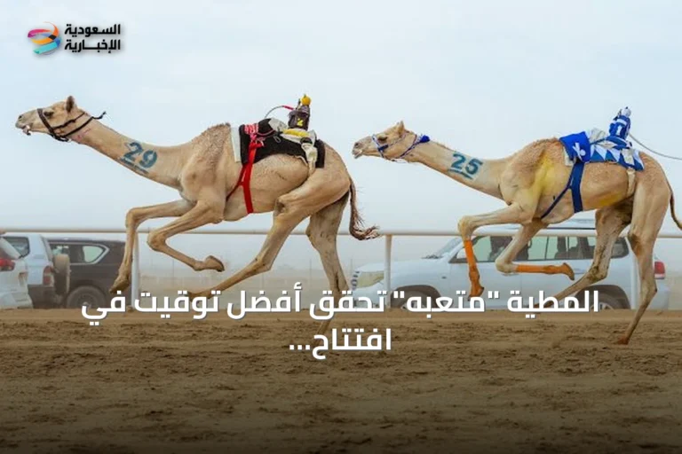 المطية "متعبه" تحقق أفضل توقيت في افتتاح مهرجان ولي العهد للهجن