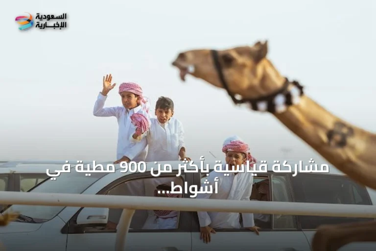 مشاركة قياسية بأكثر من 900 مطية في أشواط إنتاج السعودية بمهرجان ولي العهد للهجن 2026