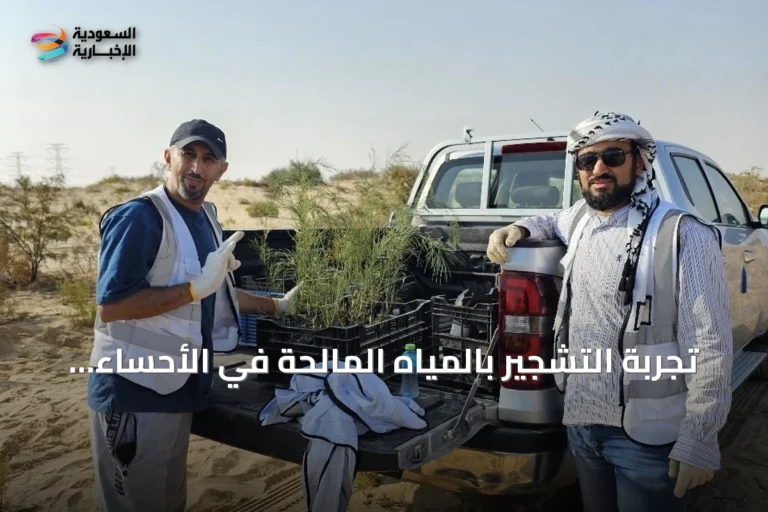 تجربة التشجير بالمياه المالحة في الأحساء تُسجل عالمياً ضمن شبكة التوثيق البيئي الدولية WOCAT
