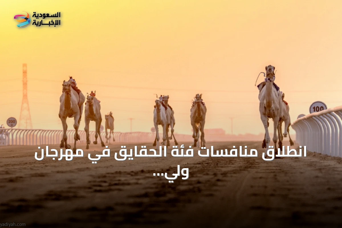انطلاق منافسات فئة الحقايق في مهرجان ولي العهد للهجن وجوائز تتجاوز 6 ملايين ريال