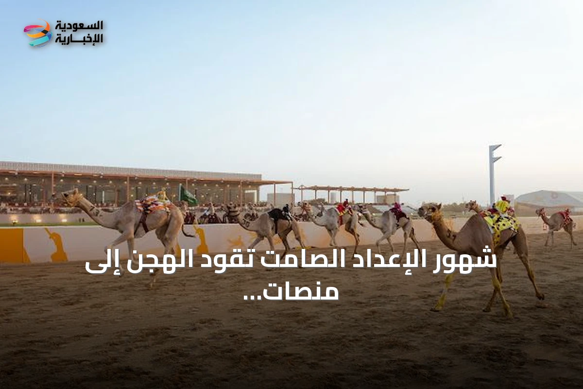 شهور الإعداد الصامت تقود الهجن إلى منصات التتويج في مهرجان ولي العهد