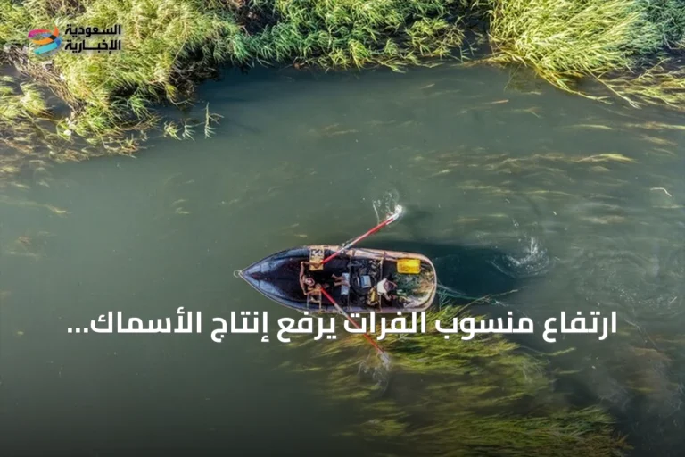 ارتفاع منسوب الفرات يرفع إنتاج الأسماك ويحفز سوقها في الرقة