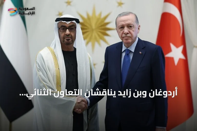أردوغان وبن زايد يناقشان التعاون الثنائي والقضايا الإقليمية