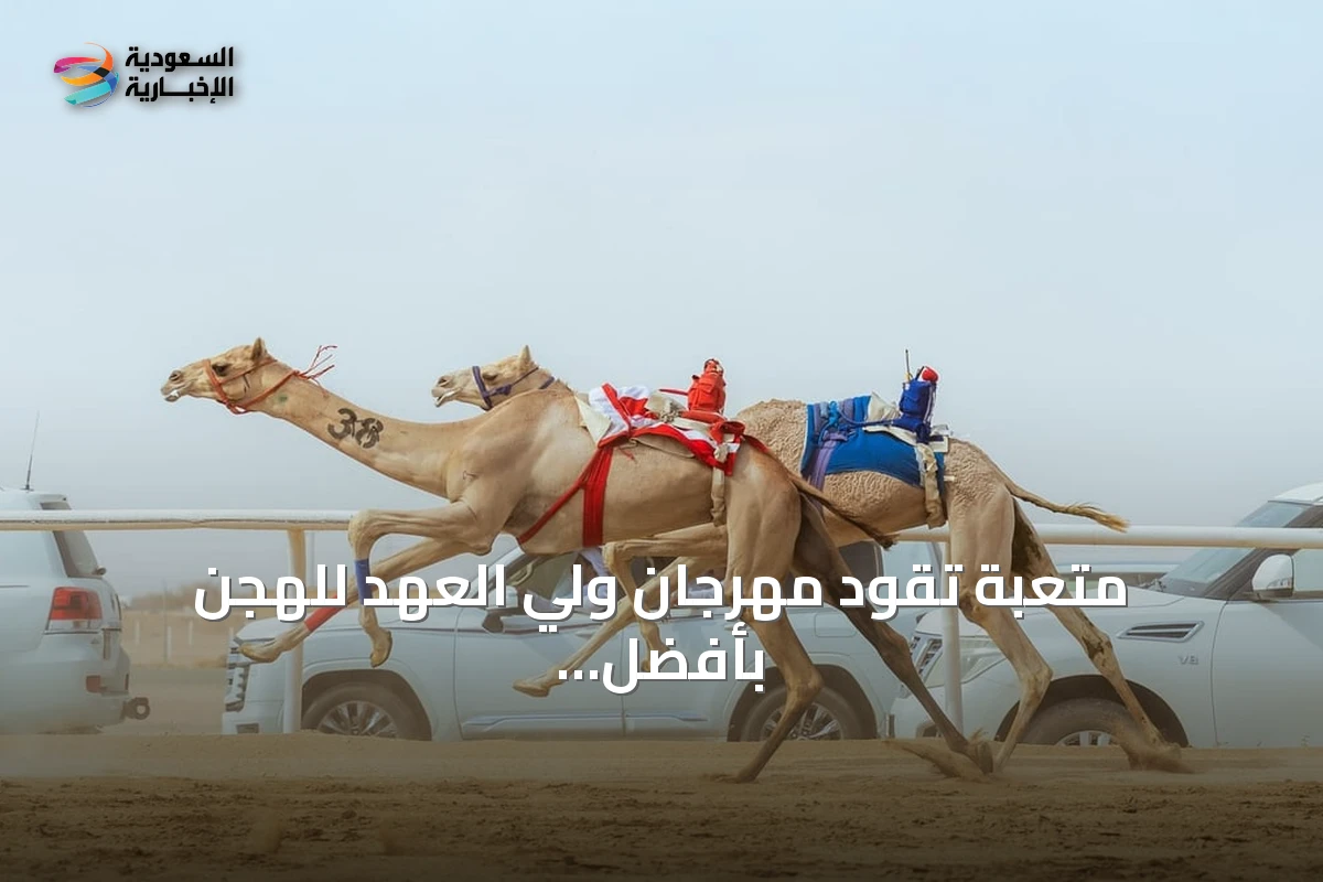متعبة تقود مهرجان ولي العهد للهجن بأفضل زمن في الطائف