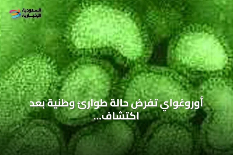 أوروغواي تفرض حالة طوارئ وطنية بعد اكتشاف إنفلونزا الطيور في دواجن منزلية بمقاطعة كولونيا