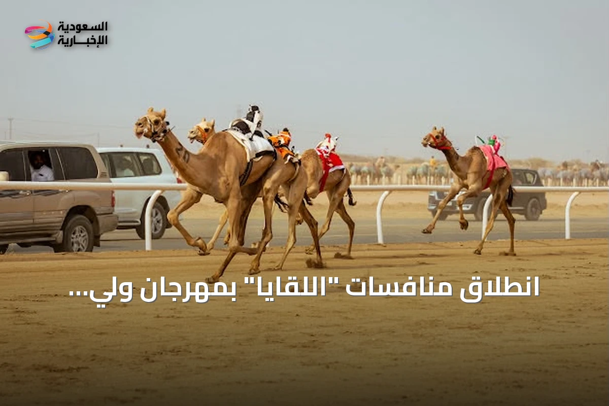 انطلاق منافسات "اللقايا" بمهرجان ولي العهد للهجن 2026 على ميدان الطائف التاريخي