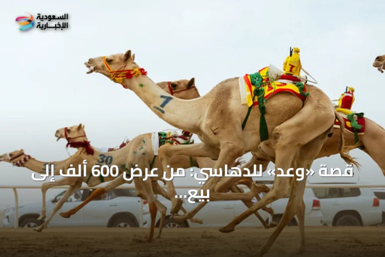 قصة «وعد» للدهاسي: من عرض 600 ألف إلى بيع بمليونين في ثلاث دقائق