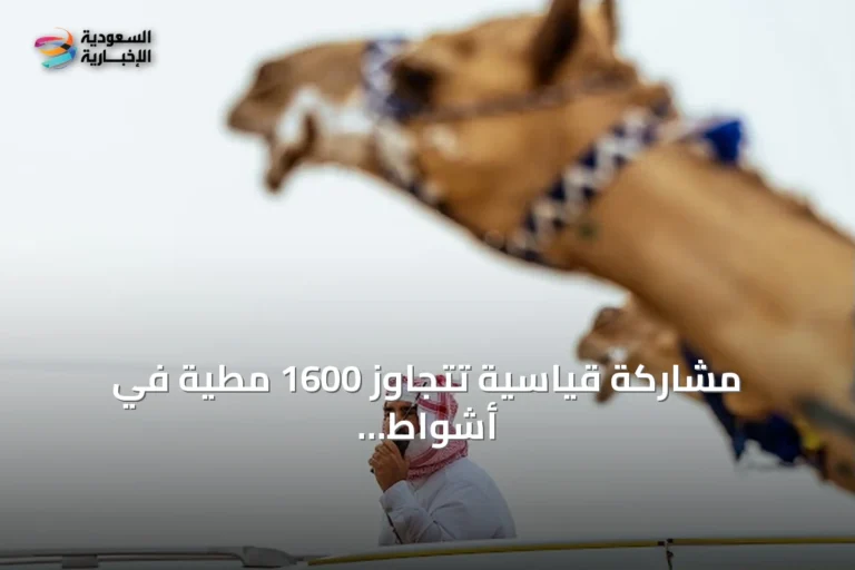 مشاركة قياسية تتجاوز 1600 مطية في أشواط إنتاج السعودية بمهرجان ولي العهد للهجن 2026