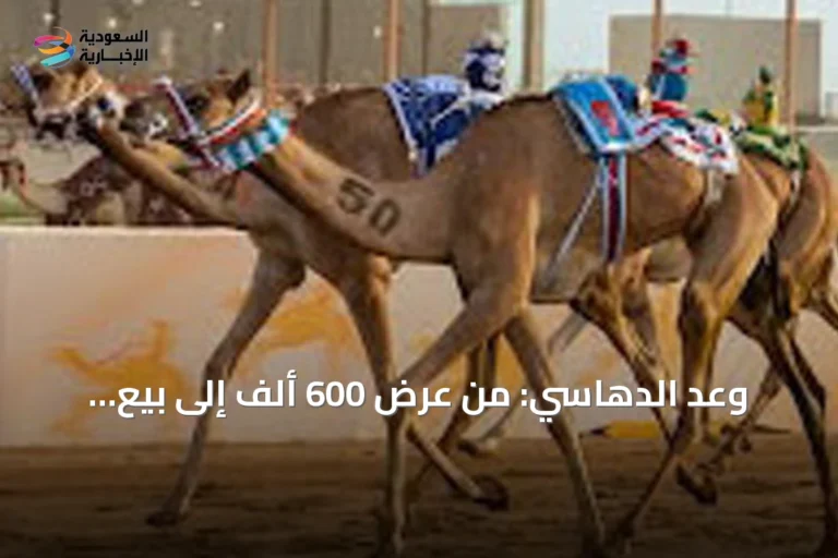 وعد الدهاسي: من عرض 600 ألف إلى بيع بمليوني ريال