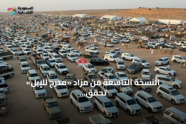 النسخة التاسعة من مزاد «مدرج للإبل» تحقق حراكًا اقتصاديًا واسعًا في القصيم