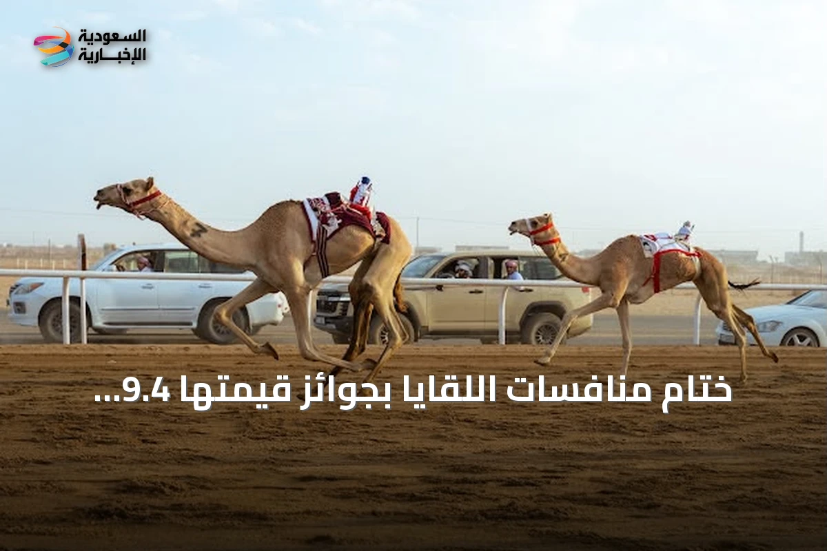ختام منافسات اللقايا بجوائز قيمتها 9.4 مليون ريال في مهرجان ولي العهد للهجن