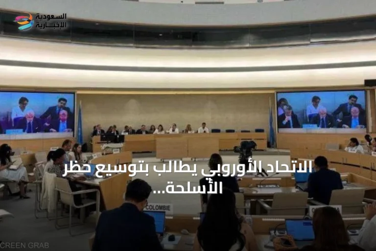 الاتحاد الأوروبي يطالب بتوسيع حظر الأسلحة في السودان وتجديد بعثة تقصي الحقائق