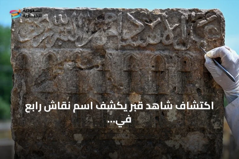 اكتشاف شاهد قبر يكشف اسم نقّاش رابع في مقبرة غواش السلجوقية بتركيا