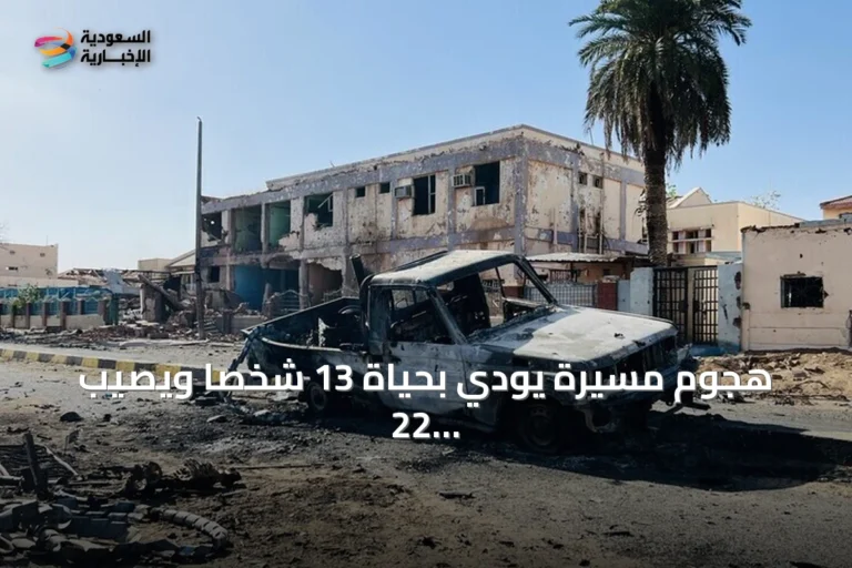هجوم مسيّرة يودي بحياة 13 شخصًا ويصيب 22 في أمروابة