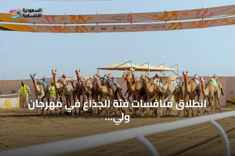انطلاق منافسات فئة الجذاع في مهرجان ولي العهد للهجن 2026