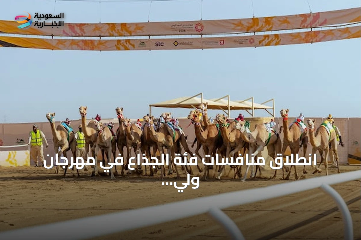 انطلاق منافسات فئة الجذاع في مهرجان ولي العهد للهجن 2026