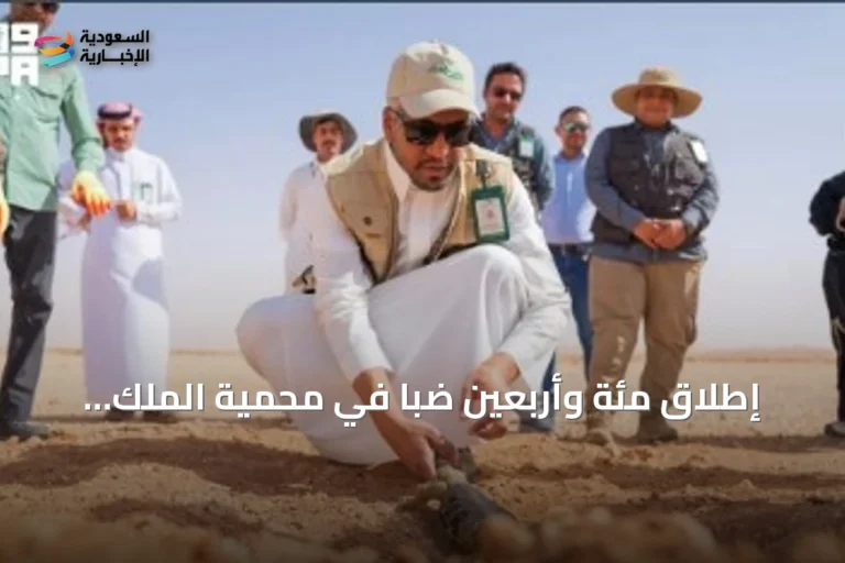إطلاق مئة وأربعين ضبًّا في محمية الملك خالد الملكية ضمن برامج الحياة الفطرية