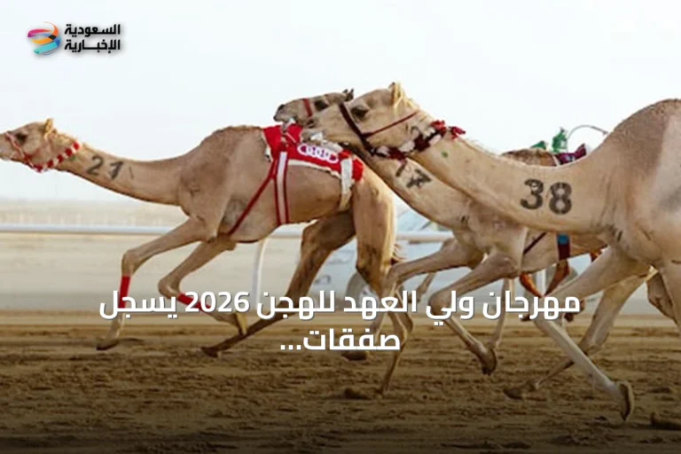 مهرجان ولي العهد للهجن 2026 يسجل صفقات تجاوزت 60 مليون ريال