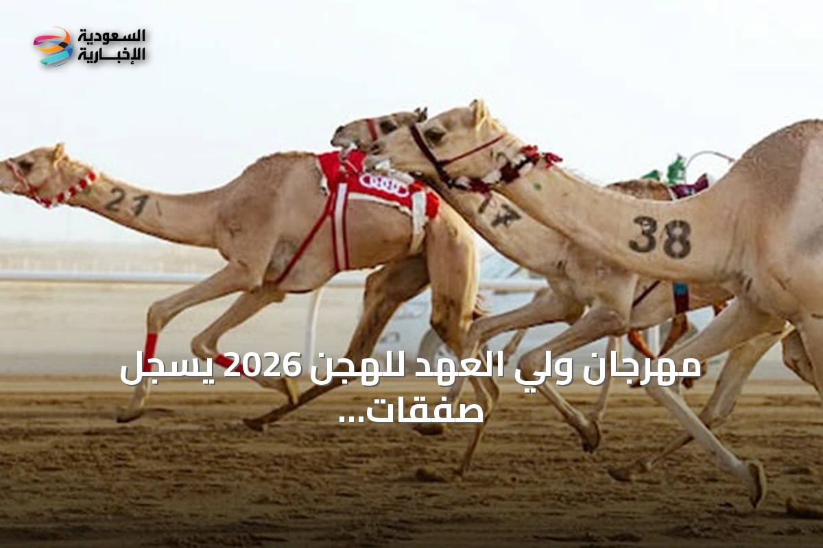 مهرجان ولي العهد للهجن 2026 يسجل صفقات تجاوزت 60 مليون ريال