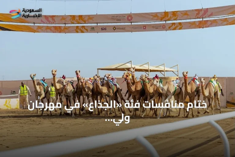 ختام منافسات فئة «الجذاع» في مهرجان ولي العهد للهجن 2026 وجوائز تقترب من سبعة ملايين ريال