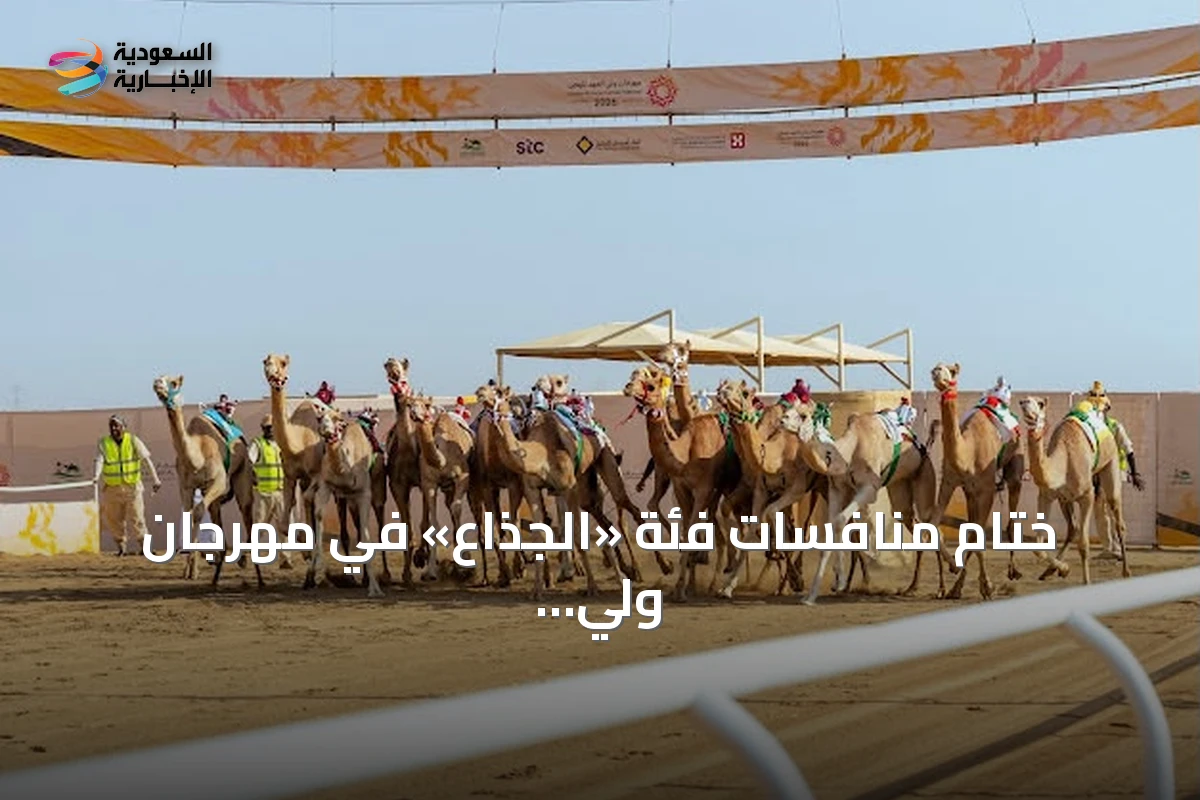 ختام منافسات فئة «الجذاع» في مهرجان ولي العهد للهجن 2026 وجوائز تقترب من سبعة ملايين ريال