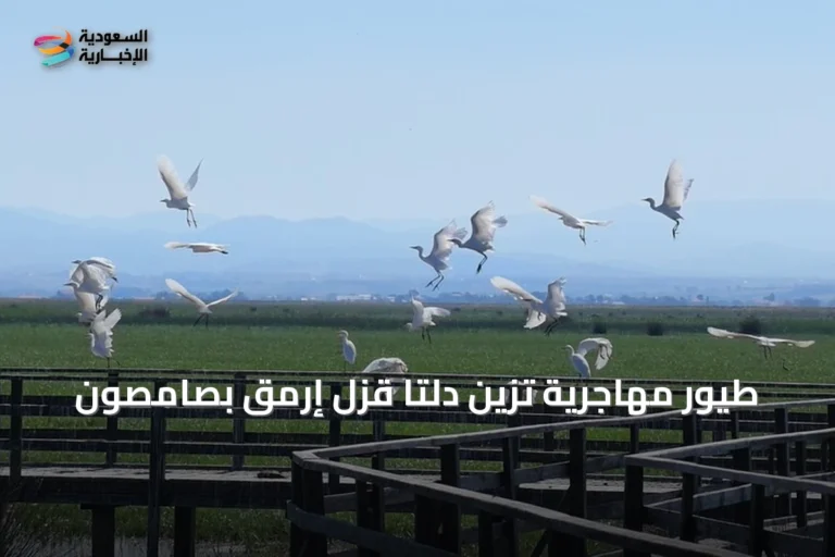 طيور مهاجرية تزين دلتا قزل إرمق بصامصون