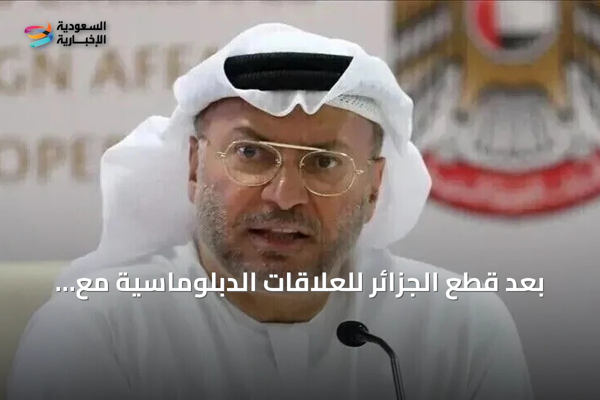 بعد قطع الجزائر للعلاقات الدبلوماسية مع الإمارات: أنور قرقاش يوضح شروط الدبلوماسية الناجحة