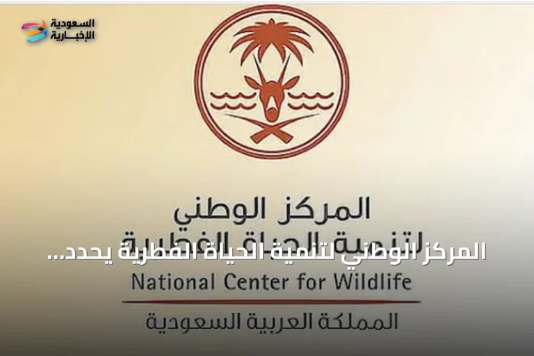 المركز الوطني لتنمية الحياة الفطرية يحدد نافذة الصيد النهارية ويشدّد على ضرورة التقيد بها